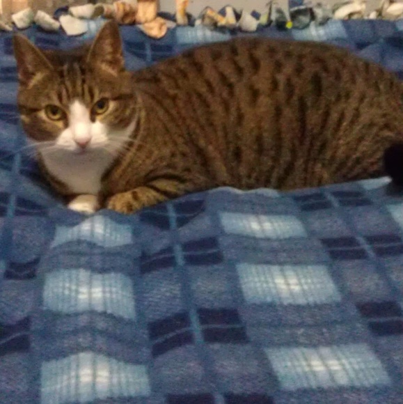 Meet your Posher, Ruth-ann - Picture 1 of 1